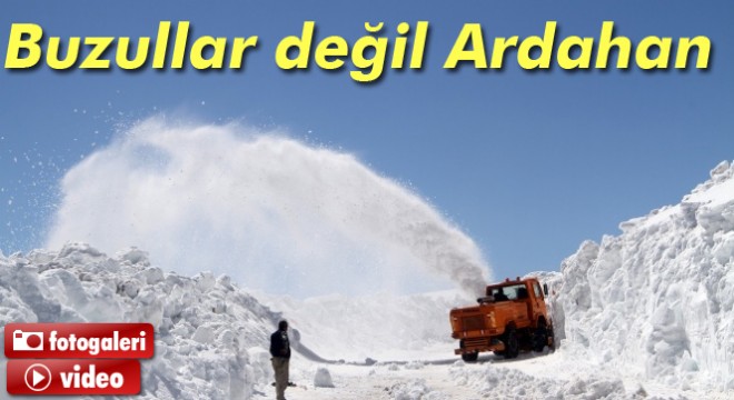 6 aydır kapalı olan Ardahan-Ardanuç yolu için çalışmalar başladı