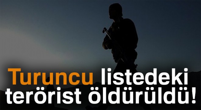 600 bin TL ödüllü turuncu listedeki terörist öldürüldü