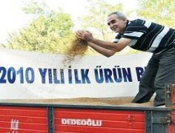 Yılın ilk buğdayı satışa sunuldu