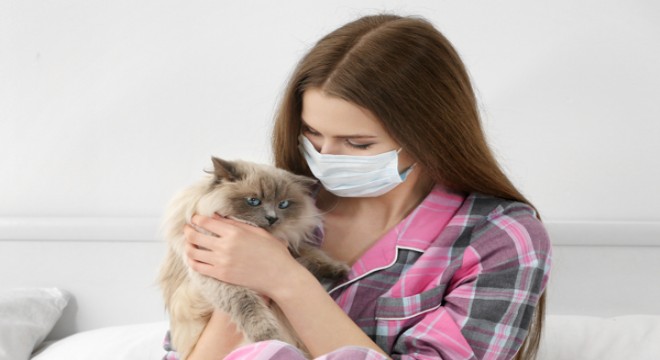 Alerjisi olanlar için kedili bir hayat mümkün