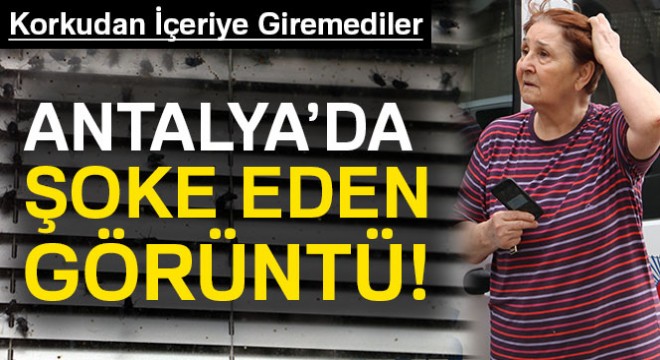 Antalya polisinin sinek alarmı