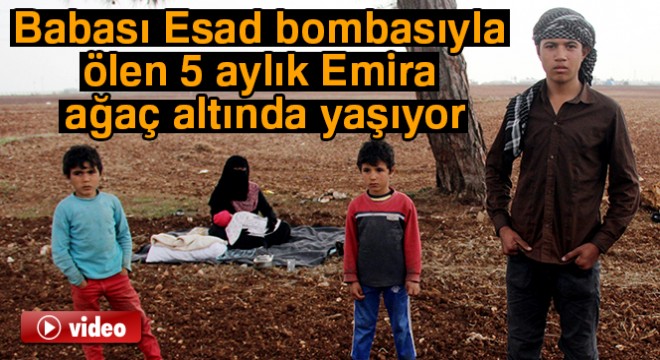 Babası Esad bombasıyla ölen 5 aylık Emira ağaç altında yaşıyor