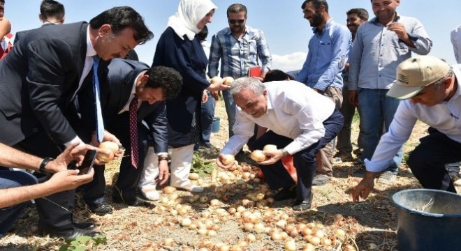 Bakan Fakıbaba, tarım işçileriyle birlikte soğan topladı