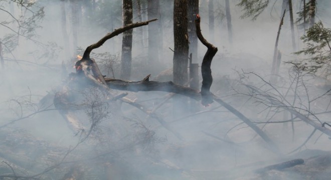Balıkesir deki orman yangını kontrol altına alındı