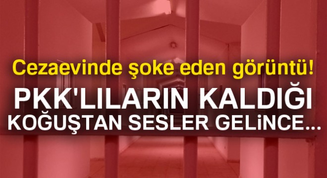 Cezaevinden kaçmaya çalışan PKK lılar yakalandı