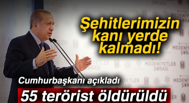 Cumhurbaşkanı Erdoğan:  55 teröristi etkisiz hale getirdik 