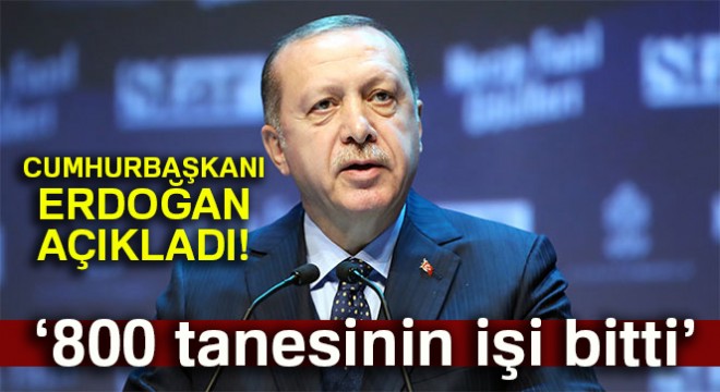 Cumhurbaşkanı Erdoğan: 800 terörist etkisiz hale getirildi