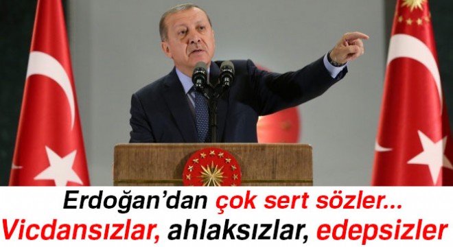 Cumhurbaşkanı Erdoğan:  Vicdansızlar, ahlaksızlar, edepsizler 