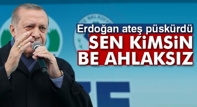 Cumhurbaşkanı Erdoğan dan CHP li vekile çok sert eleştiri:  Sen kimsin be ahlaksız 