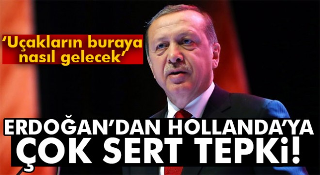 Cumhurbaşkanı Erdoğan dan Hollanda ya sert tepki!