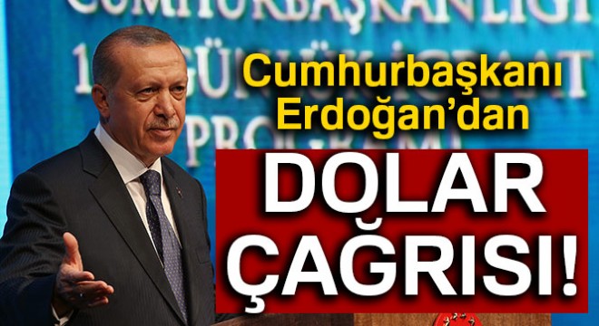 Cumhurbaşkanı Erdoğan dan kritik dolar çağrısı