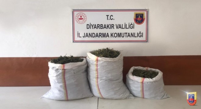 Diyarbakır da narko terör operasyonu