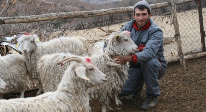 Genç çobana keçi desteği