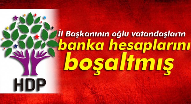 HDP İl Başkanının oğlu yurt dışındaki vatandaşların banka hesaplarını boşaltmış