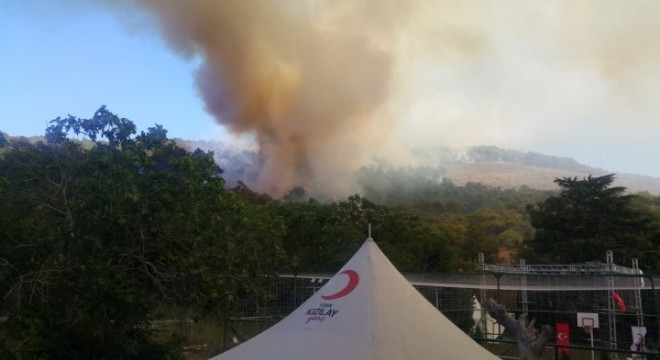 Heybeliada daki orman yangını