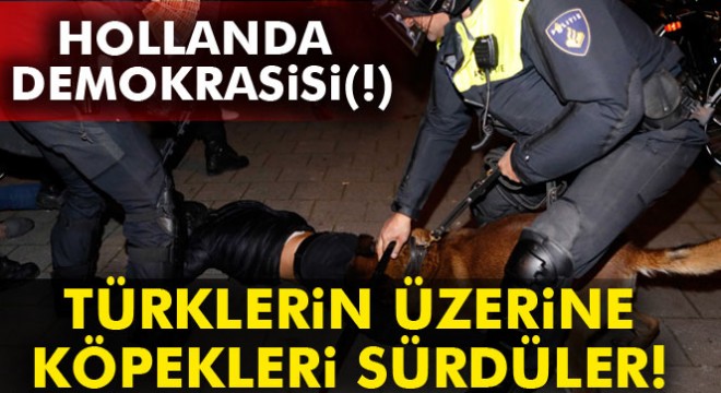 Hollanda polisinden Türk vatandaşlarına sert müdahale