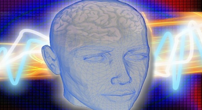 İnsan beyni diğer memelilerin beyinlerinden daha gelişmiş değildir