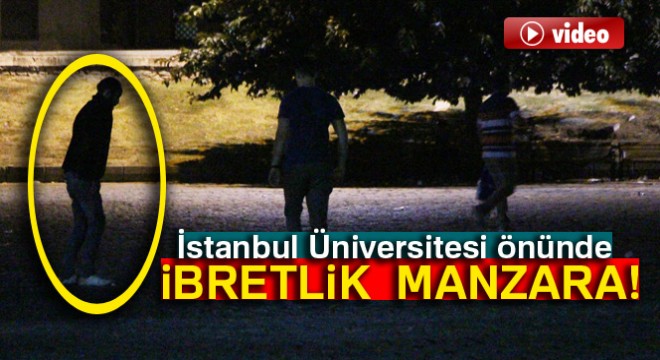İstanbul Üniversitesi önünde ibretlik  bonzai  manzarası