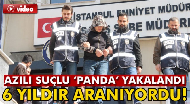 İstanbul’da  Panda  lakaplı suç makinesi yakalandı
