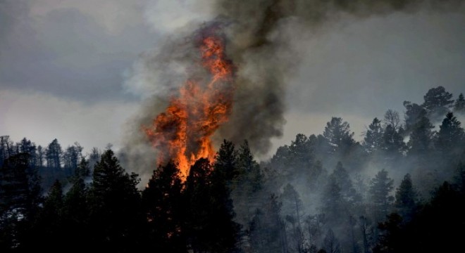 İzmir deki orman yangınları kontrol altında
