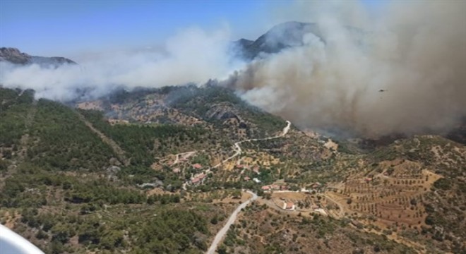 İzmir ve Muğla da orman yangınları