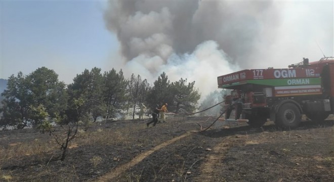 Kırklareli ve Çanakkale de orman yangını