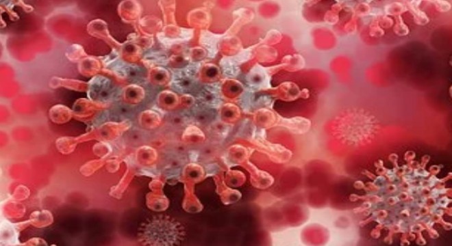 Koronavirüs salgınında ölenlerin sayısı 11 bin 233 e ulaştı