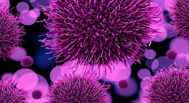Koronavirüs salgınında vaka sayısı 44 bin 456’ya ulaştı