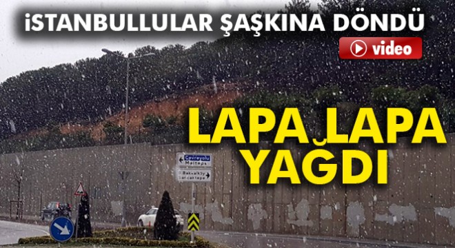 Lapa lapa yağan kar İstanbulluları şaşırttı