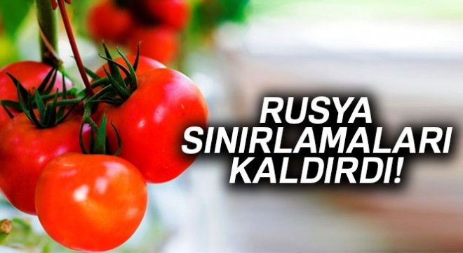Rusya, Türk domatesine uygulanan sınırlamaları kaldırdı
