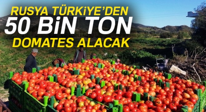Rusya’dan Türk domatesi açıklaması