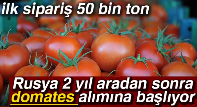 Rusya kapısını 50 bin ton Türk domatesi için açıyor