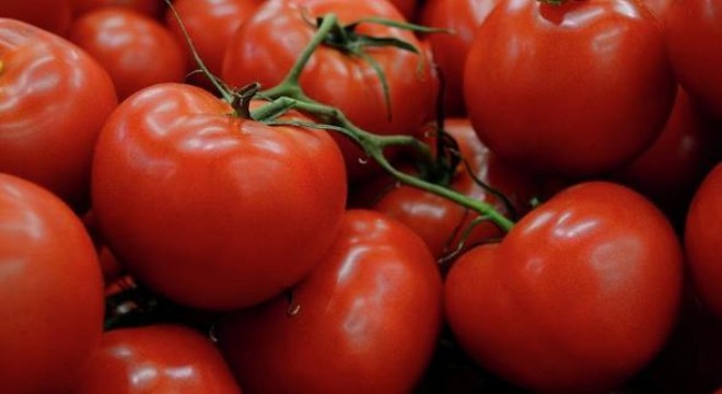 Rusya, pazarda yakaladığı 1 ton Türk domatesini imha etti!