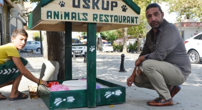 Sokak hayvanları için mini restoran oluşturdu