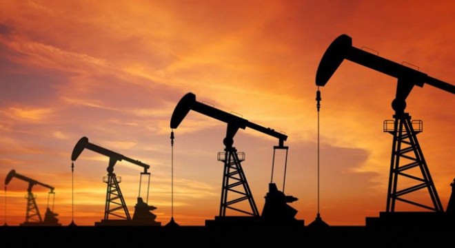 TPAO petrol aramak için 4 ayrı ruhsat başvurusunda bulundu