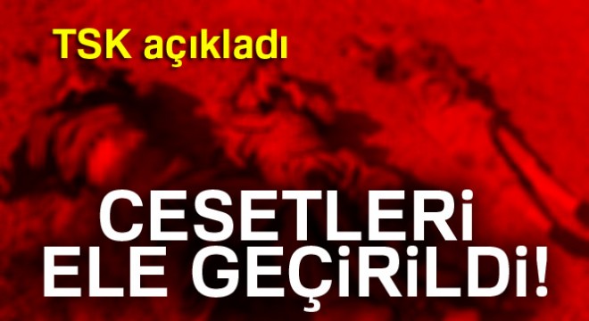 TSK açıkladı: 9 teröristin cesedi ele geçirildi