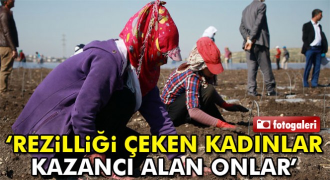 Tarım işçisi kadınların 1 saatlik ücreti: 4 lira 45 kuruş