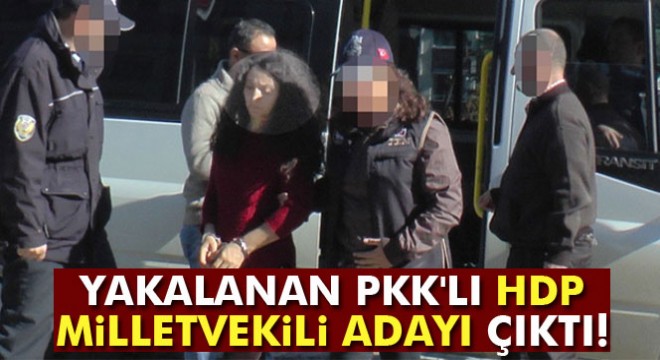 Yakalanan PKK lı HDP eski milletvekili adayı çıktı