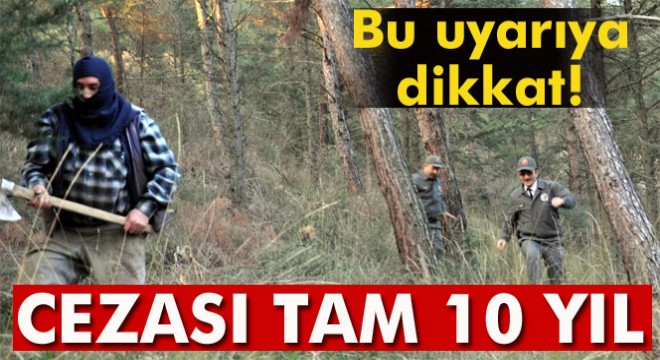 Yılbaşı için ağaç kesenlere 10 yıla kadar hapis cezası