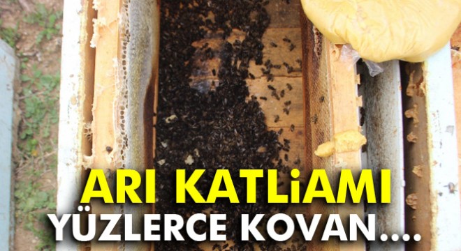 Yüzlerce kovan arı zehirlendi