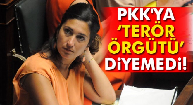 Zuhal Demir PKK ya terör örgütü diyemedi