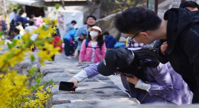 Çin’de Qingming Bayramı’nın ilk gününde 51 milyondan fazla seyahat