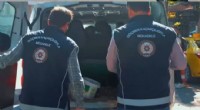 Denetimlerde 19 göçmen kaçakçısı yakalandı