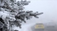 Doğu'da Dondurucu Soğuklar Etkisini Sürdürüyor