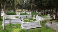 En Yaygın Ölüm Nedeni Kalp Hastalıkları Oldu