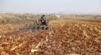 Tarımda 5,5 Milyar Liralık Destek Ödemesi Başladı